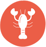 shellfish